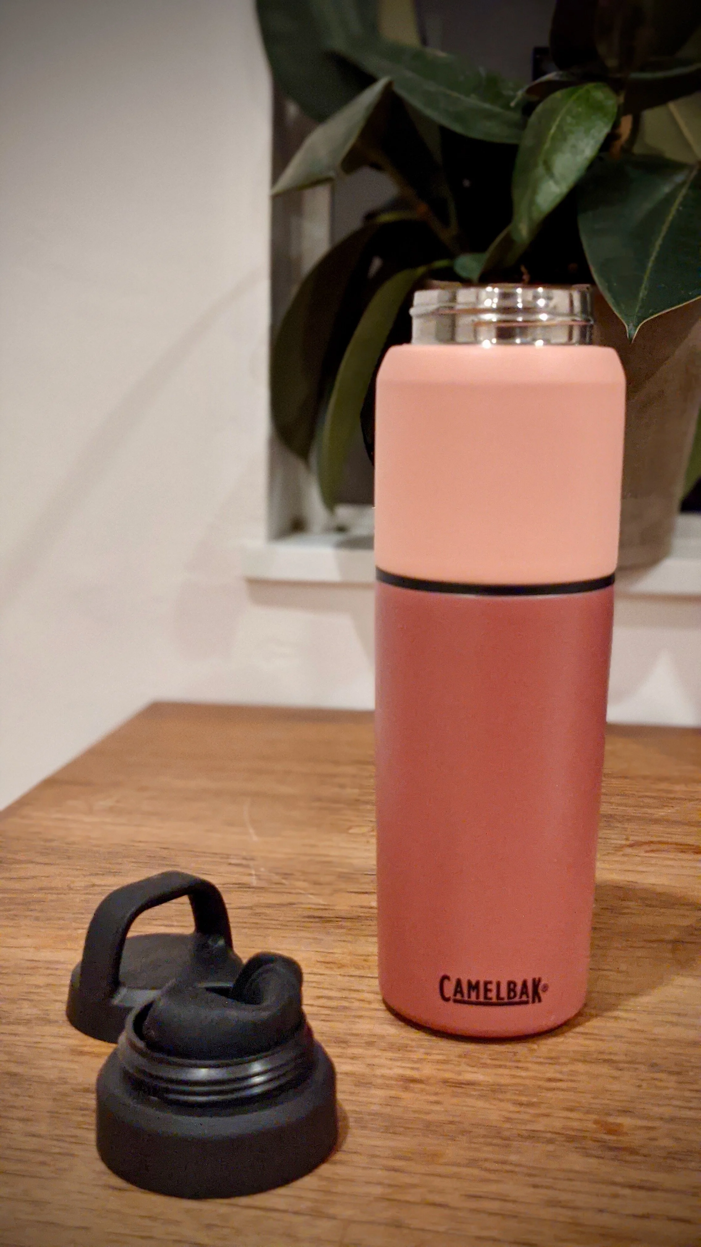CamelBak: MultiBev Travel Bottle — A Quick Brown Fox